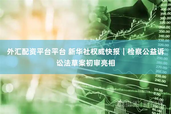 外汇配资平台平台 新华社权威快报｜检察公益诉讼法草案初审亮相