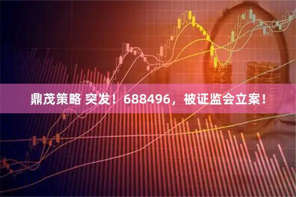 鼎茂策略 突发！688496，被证监会立案！