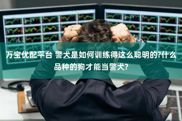 万宝优配平台 警犬是如何训练得这么聪明的?什么品种的狗才能当警犬?