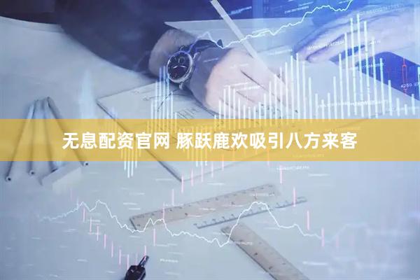 无息配资官网 豚跃鹿欢吸引八方来客