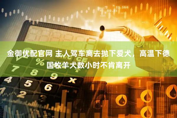 金御优配官网 主人驾车离去抛下爱犬，高温下德国牧羊犬数小时不肯离开