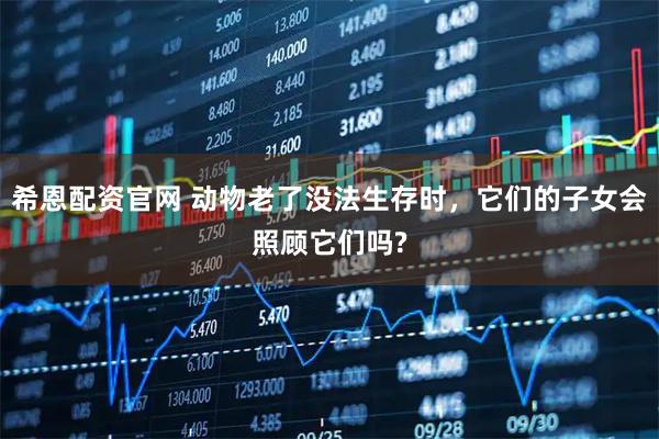 希恩配资官网 动物老了没法生存时，它们的子女会照顾它们吗?