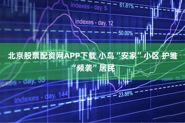 北京股票配资网APP下载 小鸟“安家”小区 护雏“频袭”居民