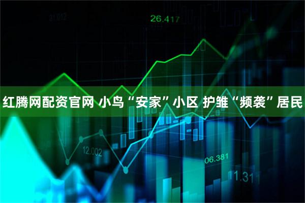 红腾网配资官网 小鸟“安家”小区 护雏“频袭”居民